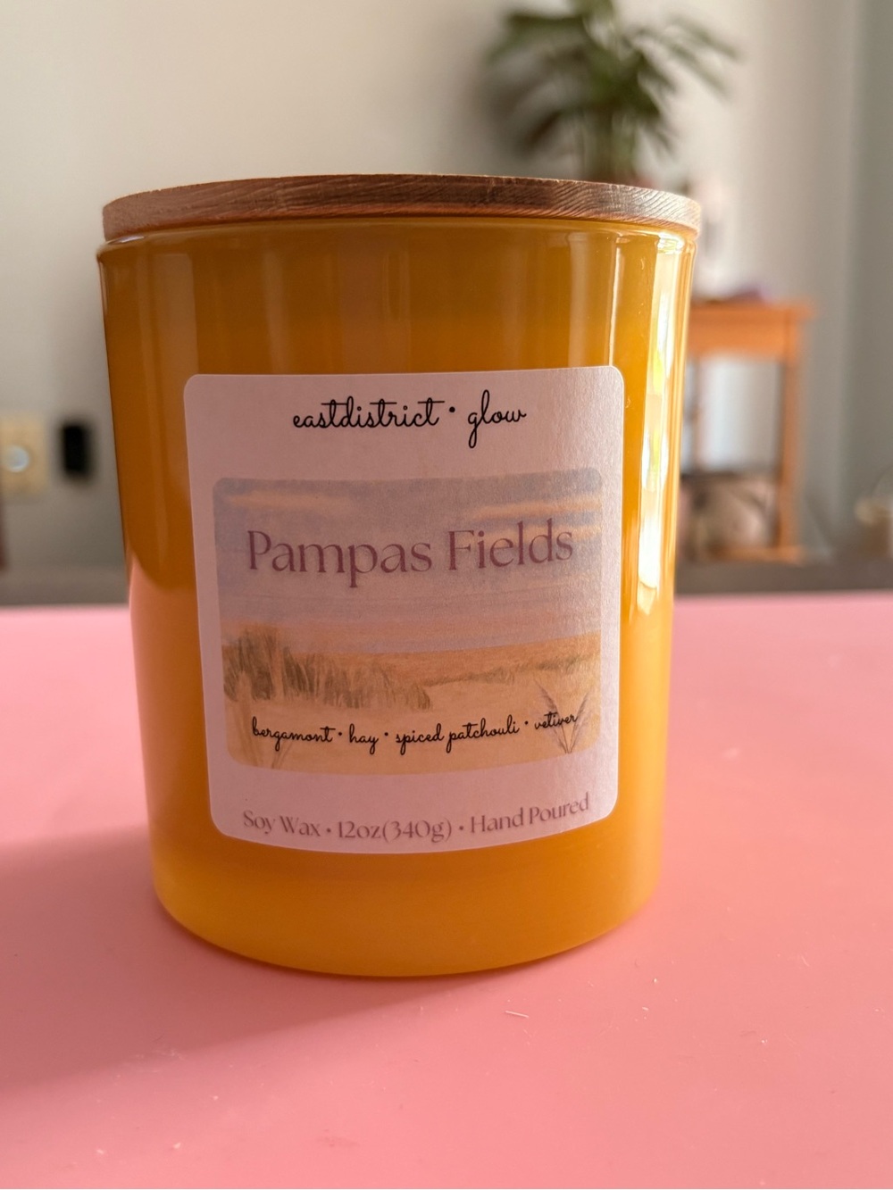 Pampas Fields | 12oz | Handmade | Soy Wax Candle